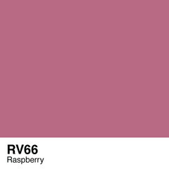 RV66 Raspberry