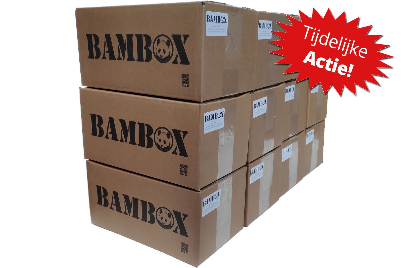 12 x BAMBOX BASIC