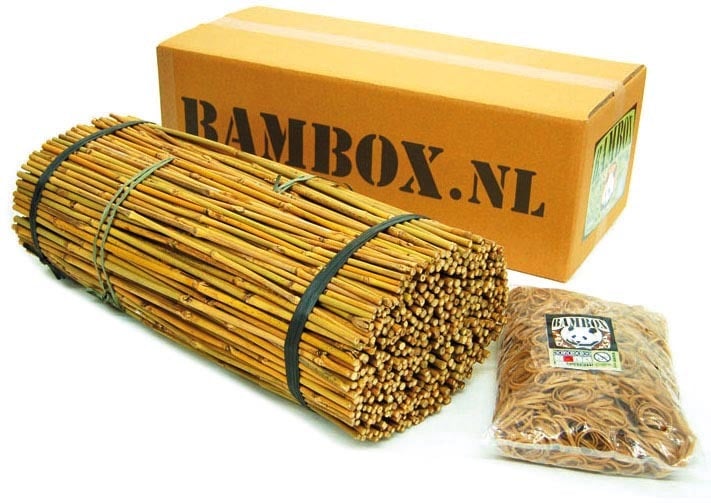 BAMBOX Medium, 60 cm