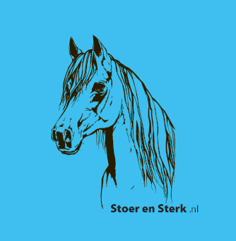 Blauw met zwart paard