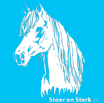 Blauw met wit paard