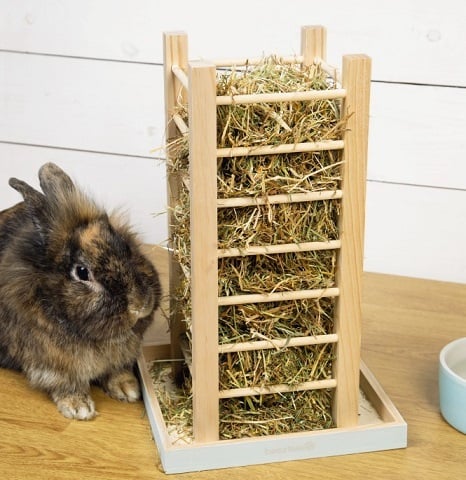 konijnen Hooiruif toren