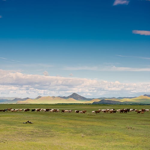 Landschap Mongolië