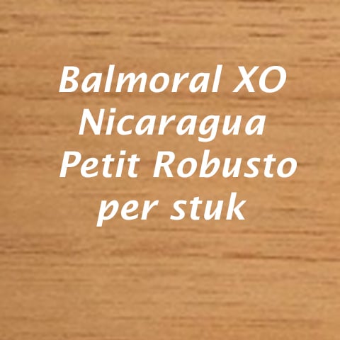 Balmoral XO Nicaragua Petit Robusto