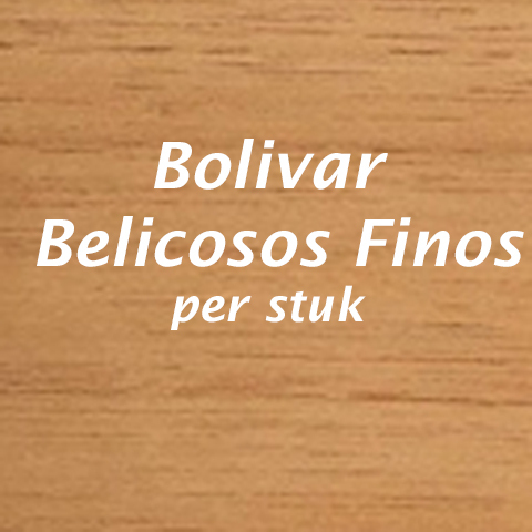 Bolivar Belicosos Finos