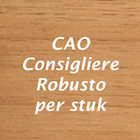 CAO Consigliere Robusto