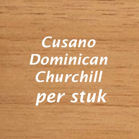 Cusano Dominican Churchill