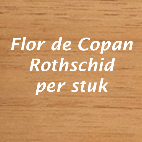 Flor de Copan Rothschild