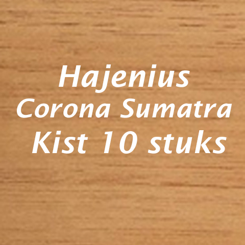 Hajenius corona Sumatra