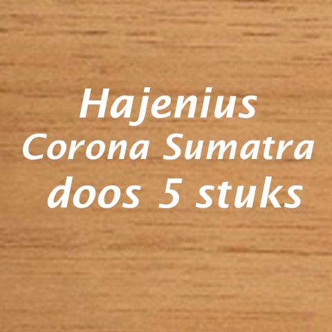 Hajenius corona Sumatra