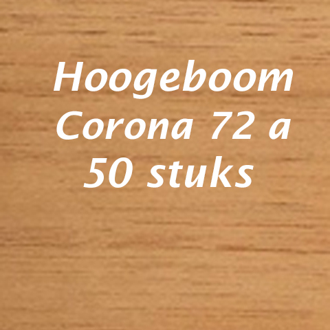 Hoogeboom Corona 72 A