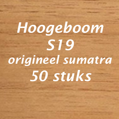 Hoogeboom S19