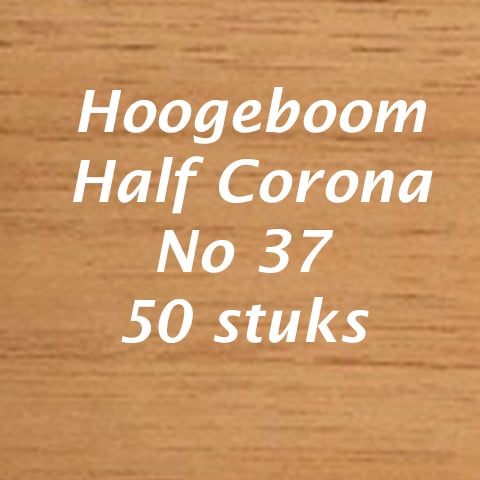 Hoogeboom half Corona no 37