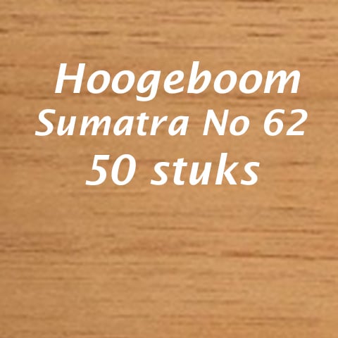 Hoogeboom sumatra No 62