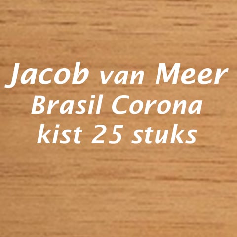 Jacob van Meer Brasil Corona