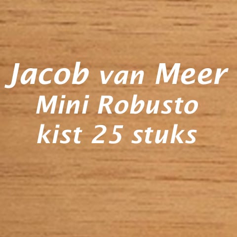<p>Jacob van Meer mini robusto</p>