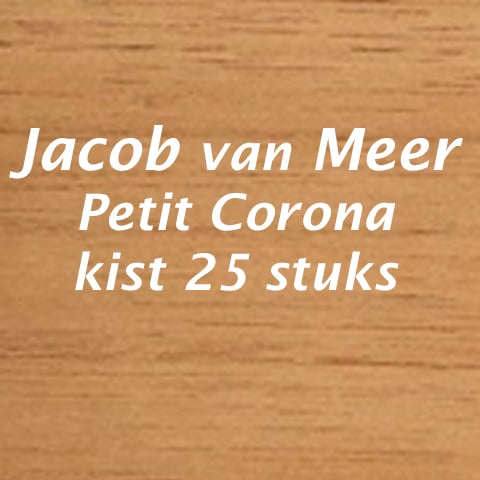 <h2>Jacob van Meer petit corona</h2>