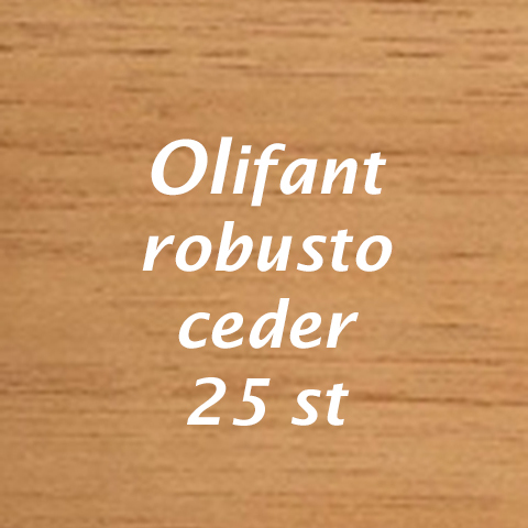 Olifant Robusto