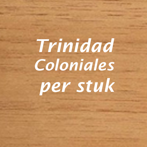 Trindad Coloniales