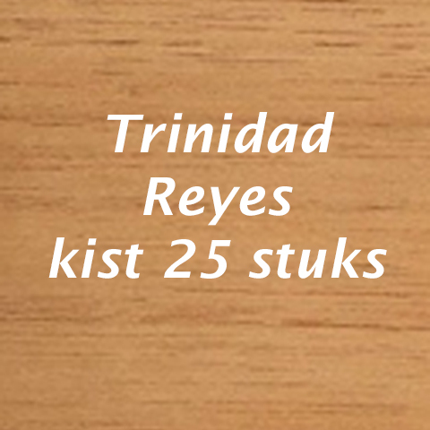 Trinidad Reyes
