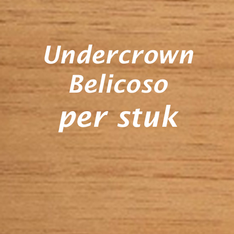 Undercrown Belicoso