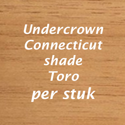 Undercrown Connecticut Shade Gran Toro