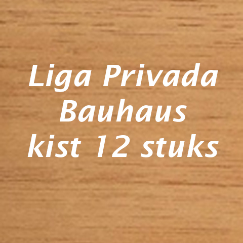 Liga Pribada Bauhaus