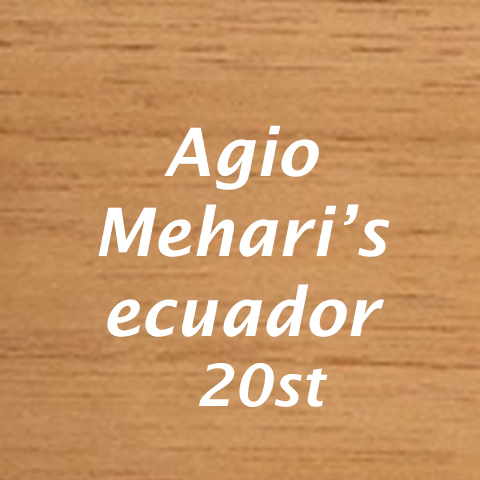 Agio Mehari's Ecuador