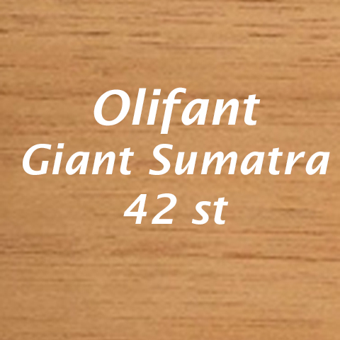 Olifant Giant Sumatra Karton