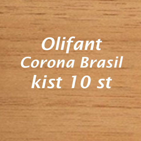 Olifant Corona Brasil