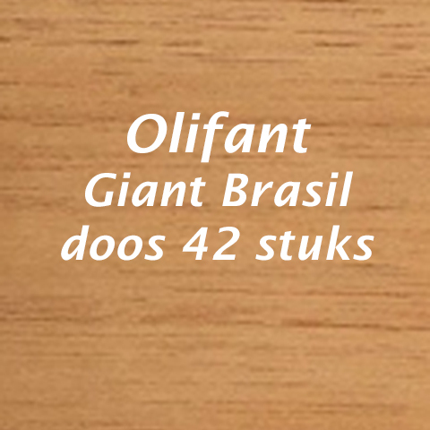 Olifant Giant Brasil