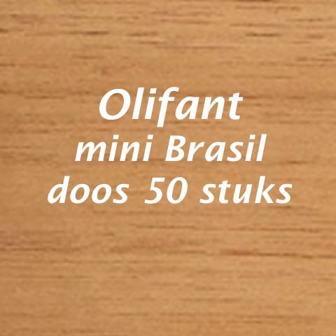 Olifant Mini Brasil