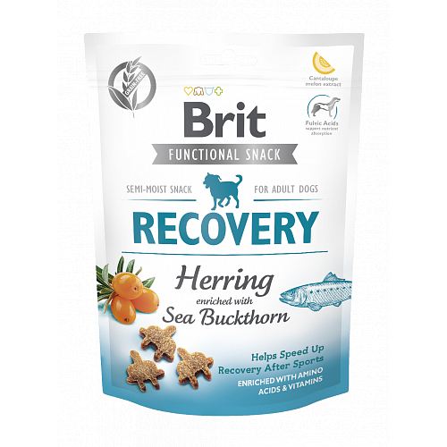 Brit care hond functionele snack Recovery Haring verriijkt met hippohae 150g