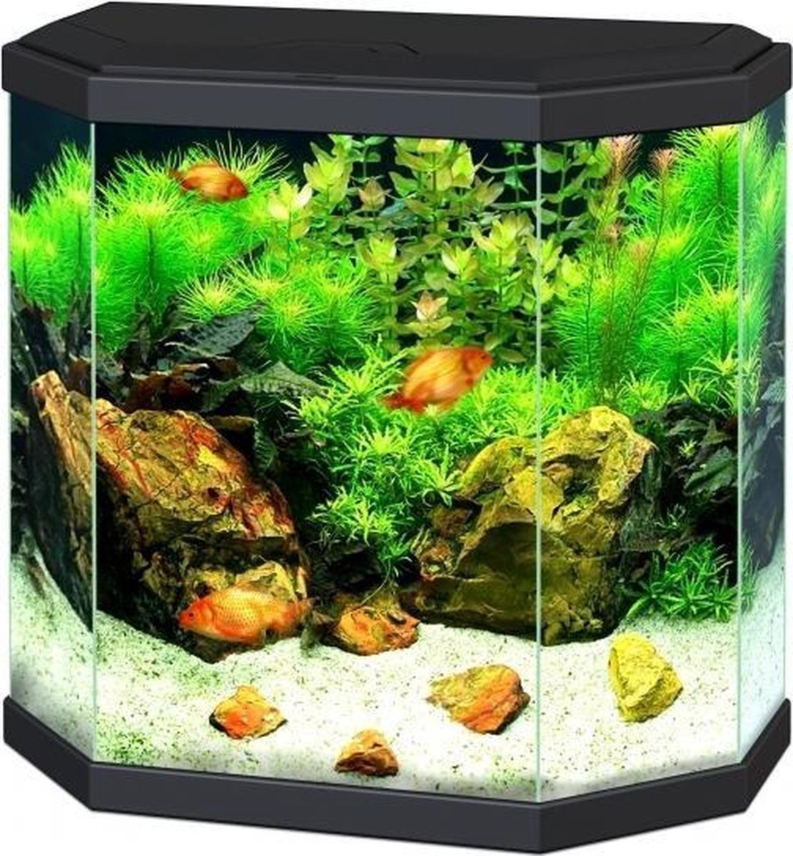 Ciano Aquarium Aqua 30 LED Zwart ** enkel afhaal