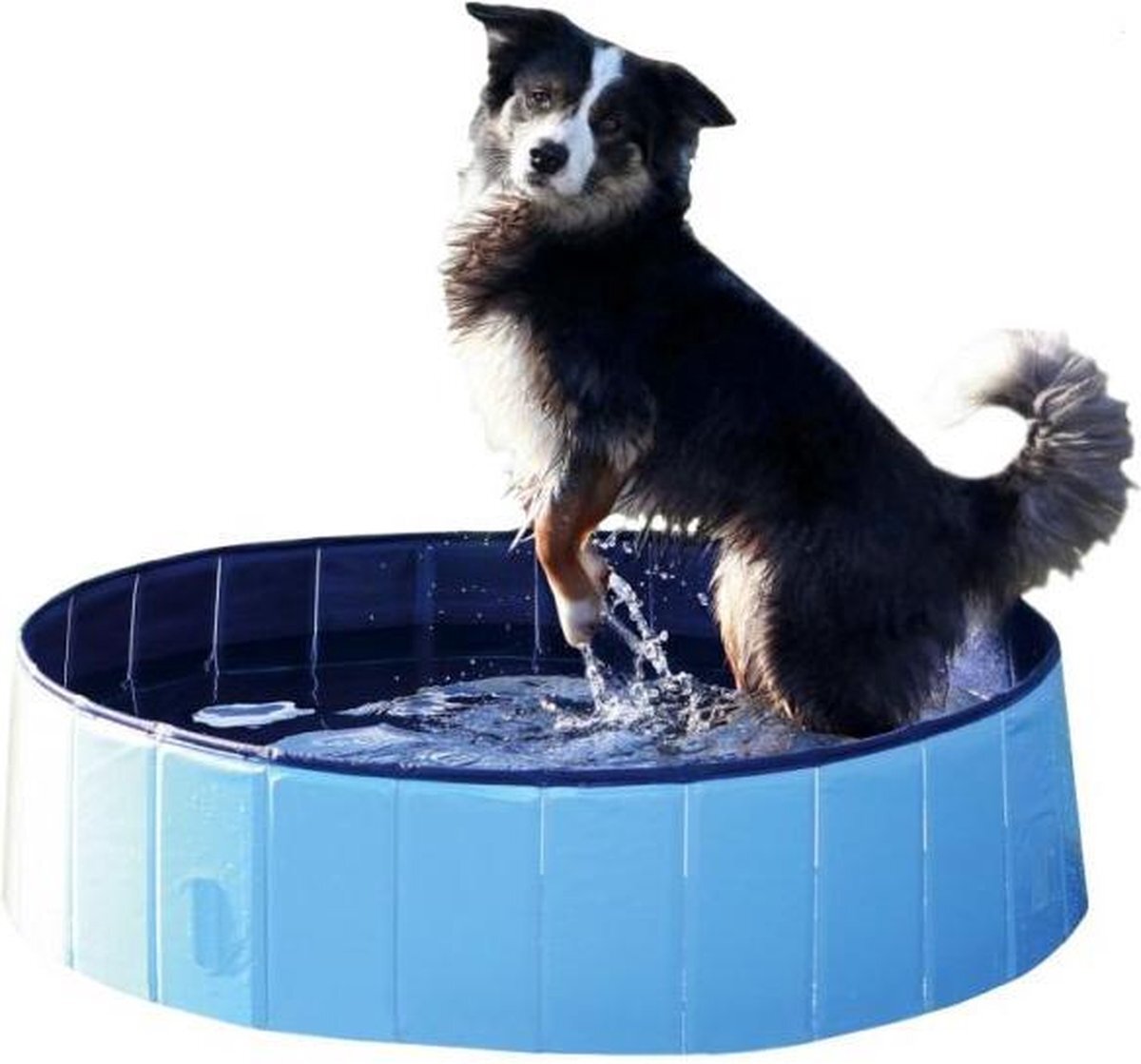 Hondenzwembad Trixie lichtblauw / blauw 80x20cm