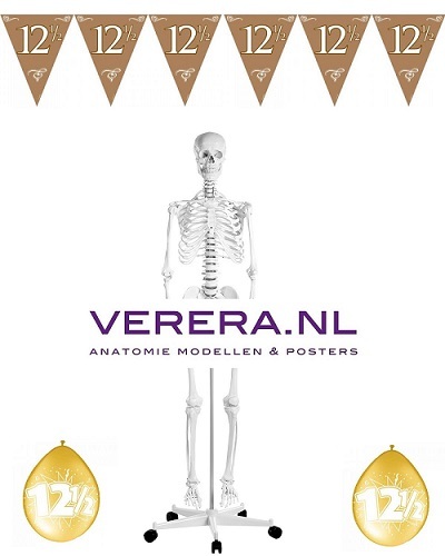 Verera.nl viert feest