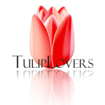 YouTulip Flower Bulbs
