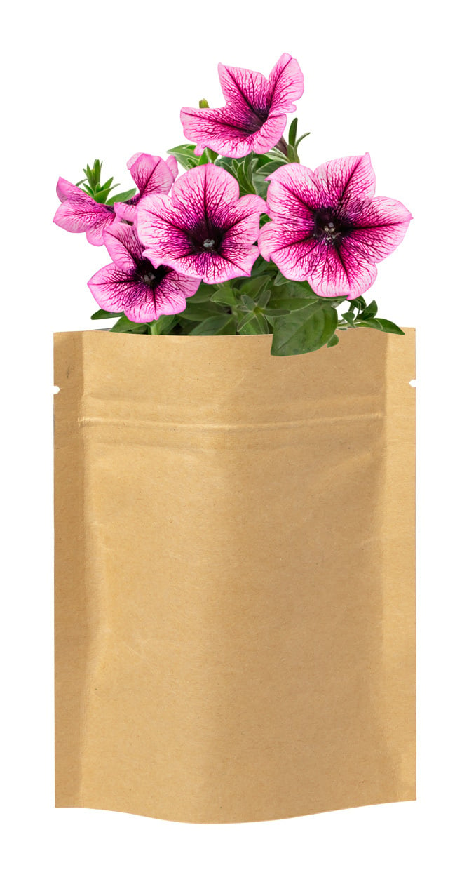 bloemen planten kit Sober